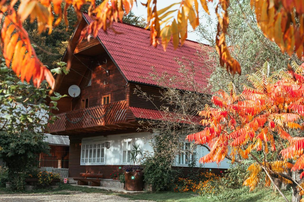 Pensiunea Poiana De Vis Sucevita Dış mekan fotoğraf