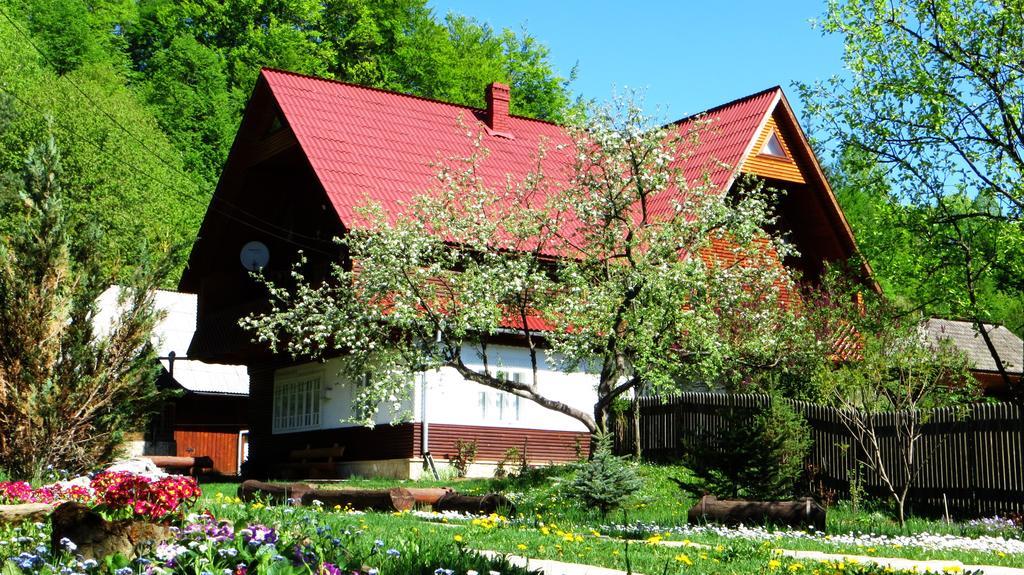 Pensiunea Poiana De Vis Sucevita Dış mekan fotoğraf