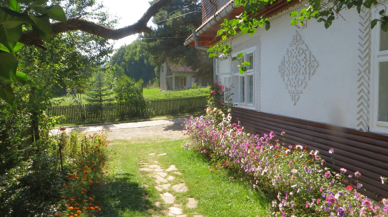 Pensiunea Poiana De Vis Sucevita Dış mekan fotoğraf
